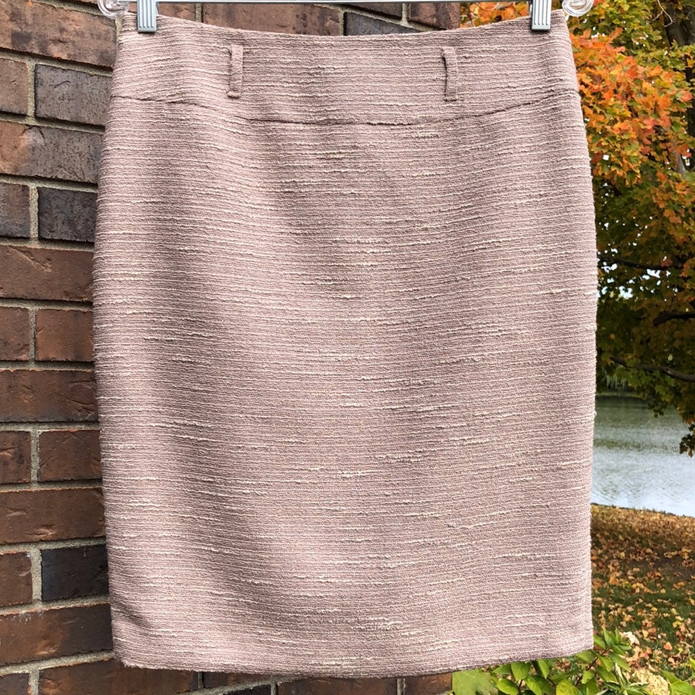 Elegant Tan Women's Skirt